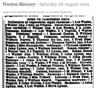 A close up of a newspaperDescription automatically generated